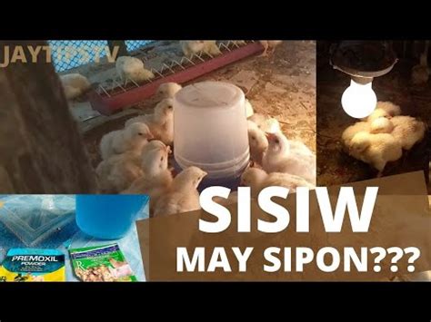 MABISANG GAMOT KAPAG MAY HALAK AT SIPON ANG 45 .